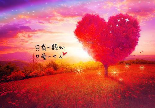 白芊芊白茵茵封恒笔趣阁 改嫁太监后偷我好孕命签的娘疯了白芊芊白茵茵封恒全文