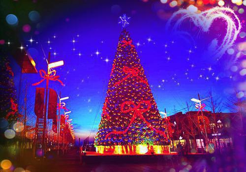 顾念顾子舟沈妍最新章节更新 白月光喜欢孩子，丁克老公亲自上阵助她当妈，我杀疯了小说正版阅读