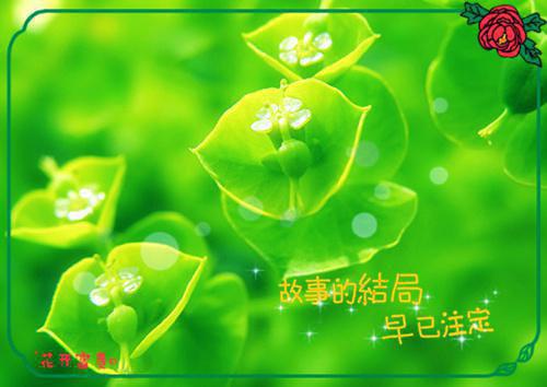 撕掉婚书后，我成了世界金融皇帝最新章节列表_撕掉婚书后，我成了世界金融皇帝全文免费阅读(陈默李莉王彩凤)