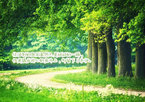 乔语顾薇薇唐然江月陈澜最新章节列表 室友送我A货,我让她家破人亡免费阅读乔语顾薇薇唐然江月陈澜小说