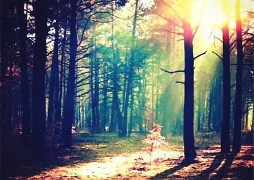 我陈小颖何景小说名 被汉子茶害死后,我重生成了她的噩梦全文最新更新内容