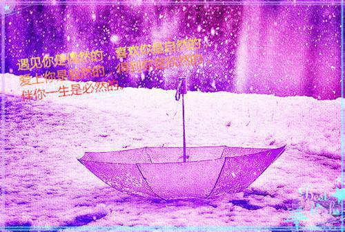 林若汐沈轻赫小说免费阅读 月影潮汐小说正版阅读