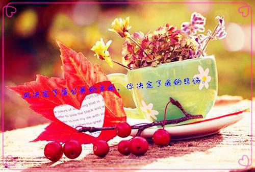 夏晚禾季淮晏小说叫什么名字 先行心动小说