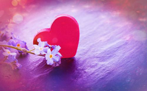 陆璟之陆怀安谢听晚免费阅读 今生错许误情痴小说陆璟之陆怀安谢听晚免费阅读全文