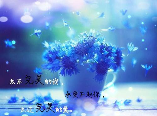 阮南音裴之影免费阅读 重回男友出轨时，和他室友亲上了免费阅读全文