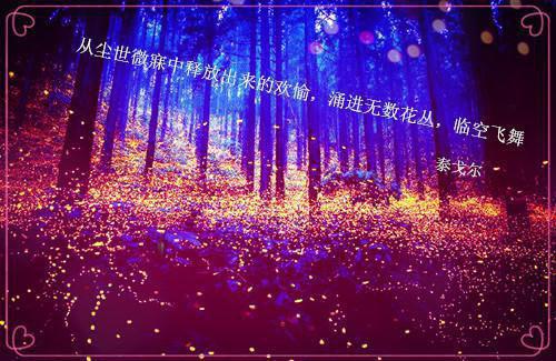 林微顾景行楚瑶小说叫什么名字 谁折了我的庭前桂小说林微顾景行楚瑶免费阅读