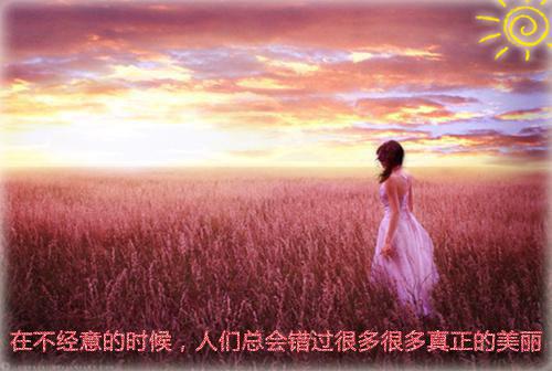 许鹿希周彦辰沈时堰大结局后续 我,霸总的医生朋友,懂全文阅读