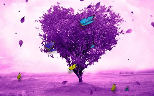 怀孕三个月,影后被老公送给投资方做美人宴最新小说(姜绍赵遥遥裴景恒)全文阅读