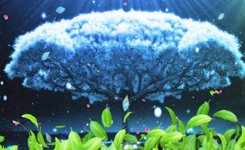 (番外)+(全文)谢尽长安花完结全本热门小说全章节免费阅读下载_(沈照霜宁砚)谢尽长安花完结全本最新章节列表_笔趣阁（沈照霜宁砚）