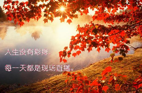 免费完结小说赵晴柔房玄策:后续(赵晴柔房玄策)_赵晴柔房玄策:后续(赵晴柔房玄策)小说完整版免费阅读