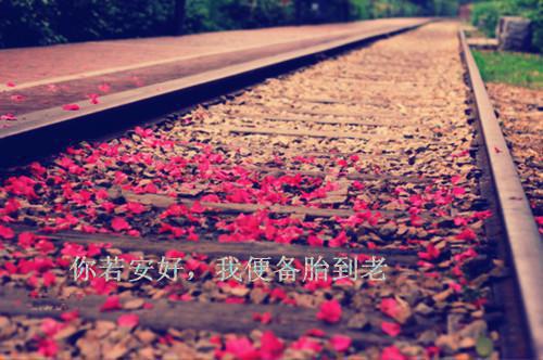 买烤冷面被铐，前任警花审我（林晓老周李正雄）最新章节_买烤冷面被铐，前任警花审我全文阅读