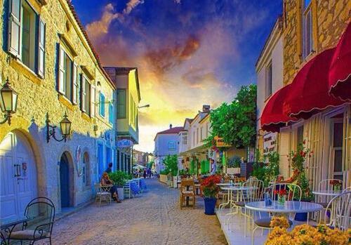 苏樱林泽叫什么小说 偷我家驴皮膏直播换脸，我反手把他送去踩缝纫机免费阅读小说