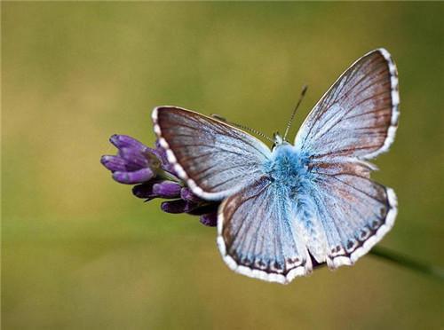 我安曼若若卓卓程杰小说叫什么 跟我妹借牙膏，我妈说我占便宜未删减小说