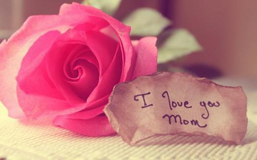 蒋夜申念免费阅读最新章节 失控暗恋免费阅读全文