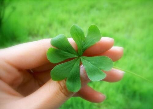 苏晚晚许怡儿的最新章节更新时间 实习生自称梗王大小姐，重活一世我陪她玩疯了短篇小说