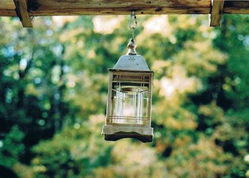 乔柠钟景温湉小说名字 钟于情深终相忘乔柠钟景温湉全文