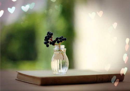 玖日故事的小说到底是谁火葬场段允恒苏雪怡全文在线阅读