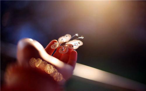 苏辞沈梦寒笔趣阁免费阅读 因为一只螃蟹，我决定离婚全文免费阅读