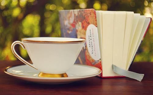 棠枝傅京洲乔念语免费阅读最新章节结局 棠枝傅京洲苏清茉：后续小说正版免费阅读