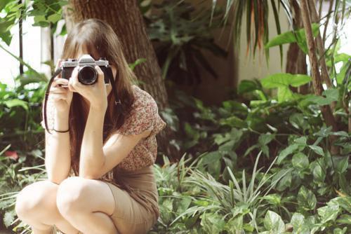 林念温沈榆北小说叫什么名字 已无风月也无你（佚名）免费阅读