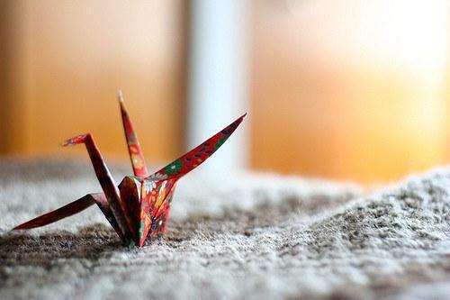 替离异千金牵红线惨死，重生后我把红线换成生死契约全文阅读（柯竹沈耀苏红娘）最新章节_替离异千金牵红线惨死，重生后我把红线换成生死契约全文阅读