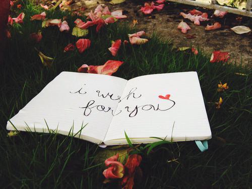 我霍元白温思秦的最新章节更新时间 不见风雨不见月全文免费阅读