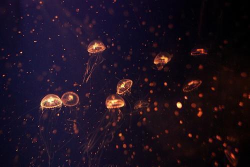 明珠盛渊是哪部小说 重回十八，娇气大小姐恃美行凶小说全文免费