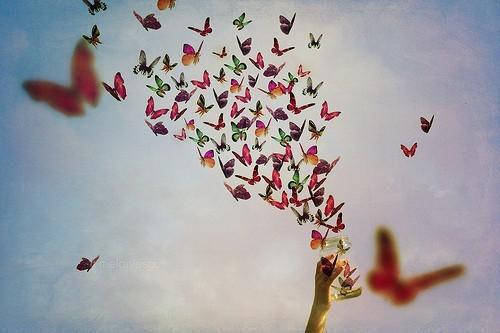 幕鼓的小说豪门大嫂要掀桌！门风不正直接怼！虞清晚林慕艾全文在线阅读