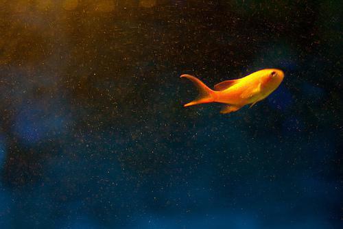 婚礼当天，丈夫让我给他青梅当伴娘全文阅读（傅瑾宋慕）最新章节_婚礼当天，丈夫让我给他青梅当伴娘全文阅读