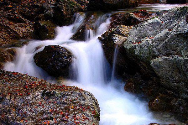 苏南枝裴知衡苏青瑶小说免费阅读 苏南枝裴知衡小说正版阅读