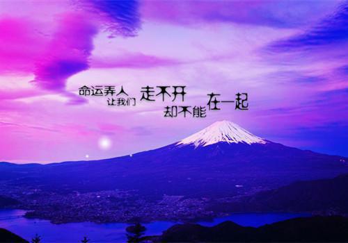 完结文养父要拿我的狗做成暖手筒哄真千金，我转身屠他满门最新章节列表_完结文养父要拿我的狗做成暖手筒哄真千金，我转身屠他满门全文免费阅读（秦昭周屹秦知夏）