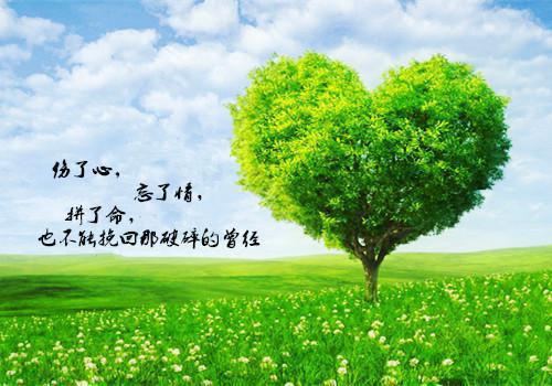 云晚笙免费阅读最新章节 她是神明，渡世间万鬼全文免费阅读