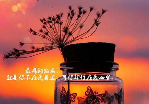 江意裴淮聿：结局+番外/全集/电子书/大结局（江意裴淮聿：结局+番外）江意裴淮聿阅读 耽美微江意裴淮聿