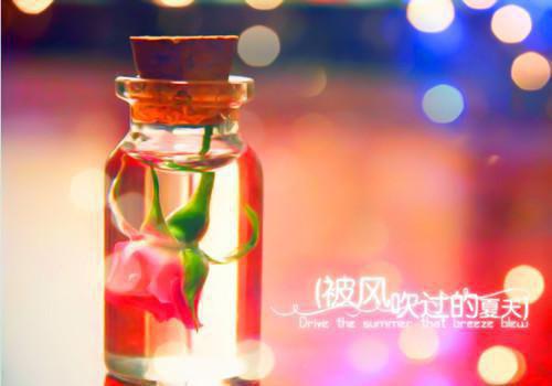 完结文夺我命格？重生后我登凤位你慌什么最新章节列表_完结文夺我命格？重生后我登凤位你慌什么全文免费阅读（沈清辞萧景珩）