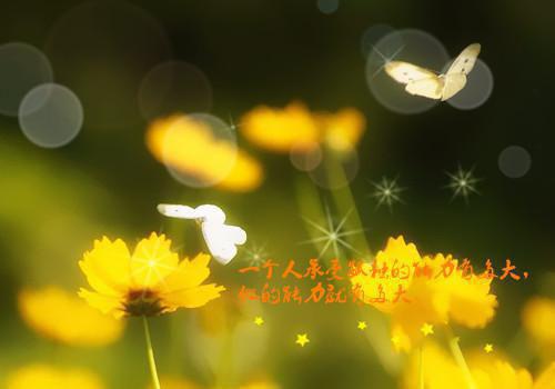 桑桑周宴免费阅读最新章节 她的眼泪最新章节更新