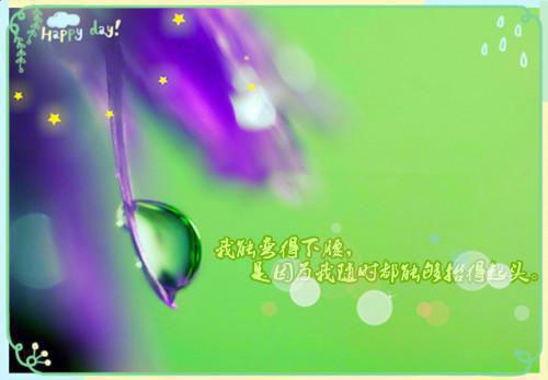星河过处，你我永别（苏朝朝薄云飞）小说已完结，星河过处，你我永别免费阅读全文