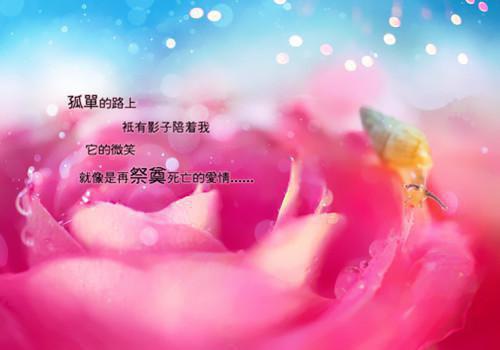 钟宛秋江承霖迟靖的最新章节更新时间 云水秋天小说钟宛秋江承霖迟靖免费阅读全文