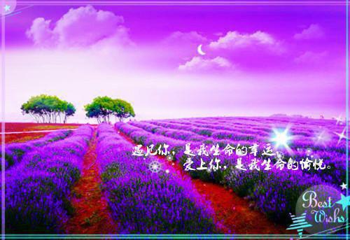 高考查分后，哥哥在我身上订满两百颗钉全文阅读（沈眠月沈砚秋沈清欢）最新章节_高考查分后，哥哥在我身上订满两百颗钉全文阅读