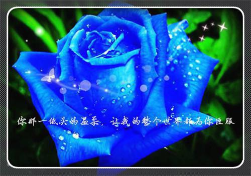 林晓张伟小说名 职场,我反手录音,让草包主管滚蛋全文免费阅读