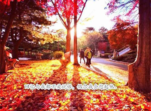 周然林溪最新章节内容 前女友带继子参加入学面试，面试官竟是我老婆免费阅读周然林溪小说