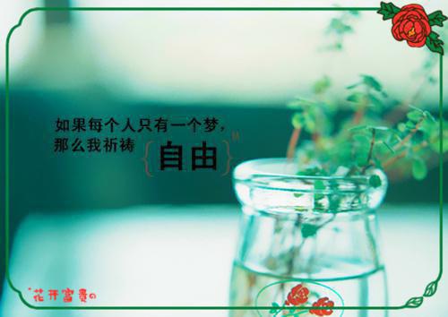 吴嘉豪刘露露小说在线阅读 系统教我做人by无名氏