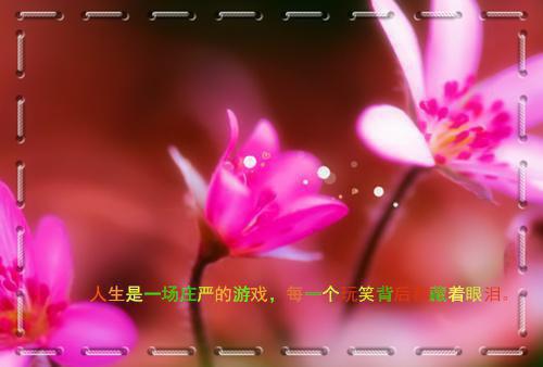 苏晚小说 我当小丑的那些年笔趣阁