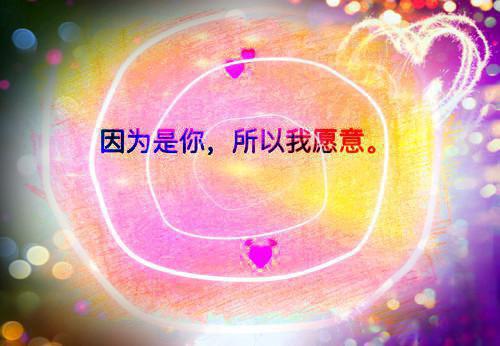 杜青蘅沈湛小说免费阅读 青梦幽情在线阅读