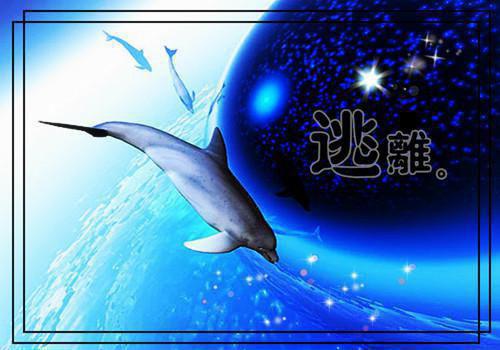 曲知愿贺宴淮免费阅读最新章节 热吻荆棘最新章节更新