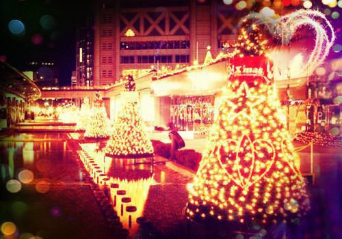 完结文浮生烬未践之诺：免费品鉴最新章节列表_完结文浮生烬未践之诺：免费品鉴全文免费阅读（秦若兮周泽言）