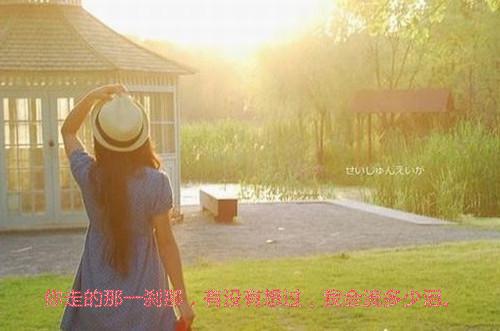 我陈元叶嘉小说叫什么 从今以后无爱也无恨结局