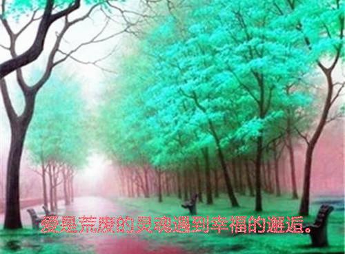 顾珠免费阅读最新章节 妈妈这次我带你回家：后续电子书