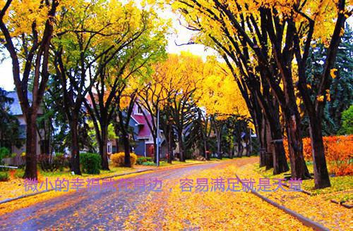 乔言心蓝斯年蓝左左大结局后续 往昔欢颜梦已遥小说乔言心蓝斯年蓝左左免费阅读