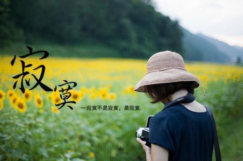 我陶夭小说结局 被讨厌的有钱人笔趣阁