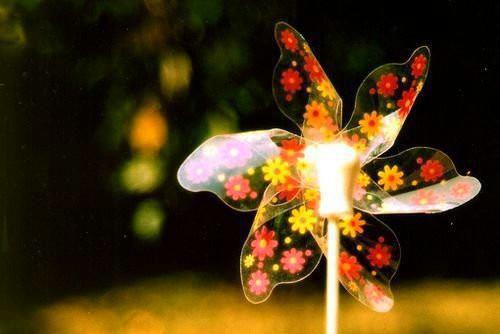 温予秋裴靳言小说免费阅读 温予秋裴靳言笔趣阁